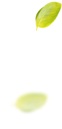 Pf Pf